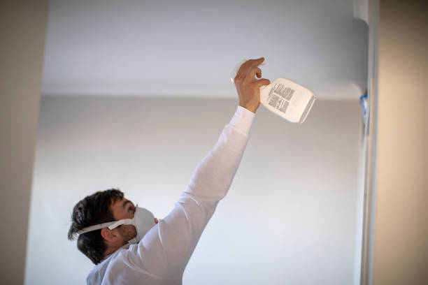 Trusted Nice, CA Mold Remediation Experts